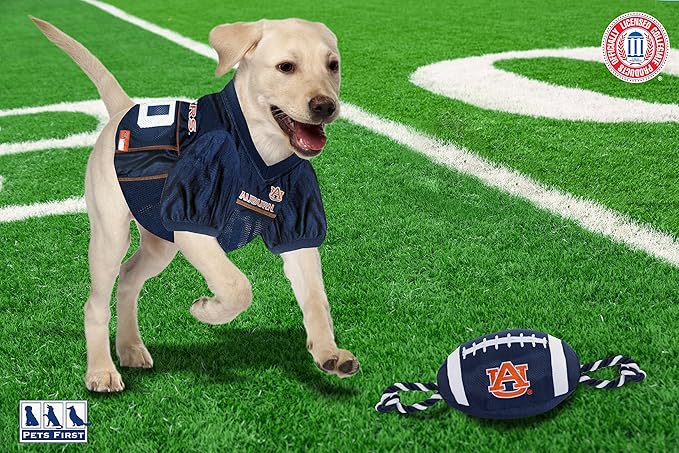 Pets First NFL Unisex NFL Nylon Football