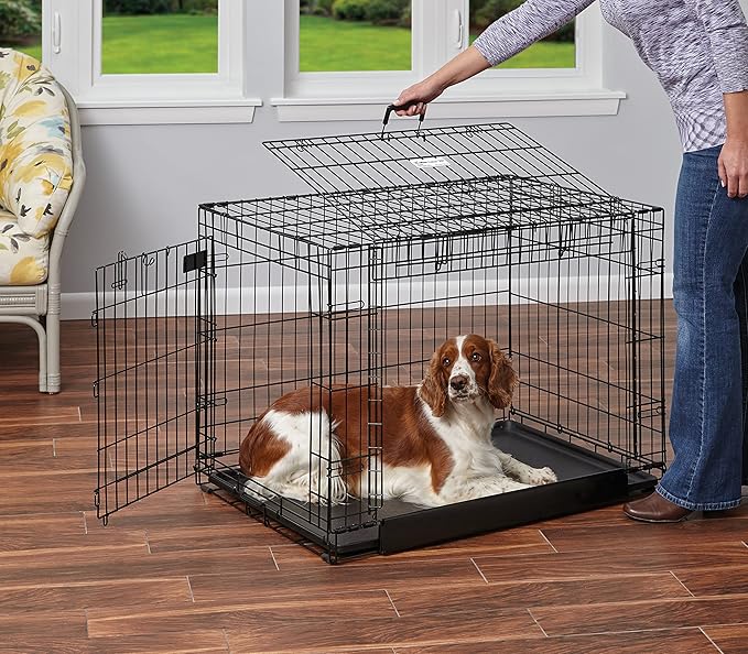 MidWest Homes for Pets Intermediate Ovation Double Door 36-inch Folding Metal Dog Crate, Front and Up & Away Side Doors, Space-Saving Design