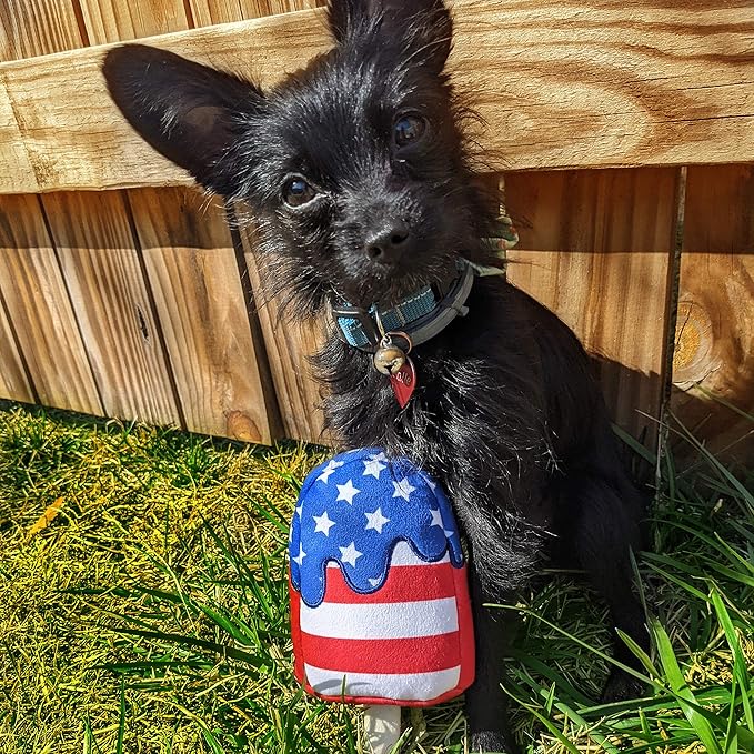 Huxley & Kent for Dogs Star Pop (Large) 4th of July Power Plush Dog Toy with Squeaker