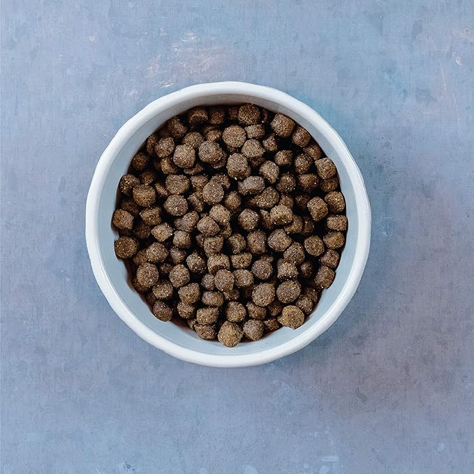 Evolve Grain Free Deboned Duck, Sweet Potato & Venison Recipe Dry Dog Food, 3.5 lb.