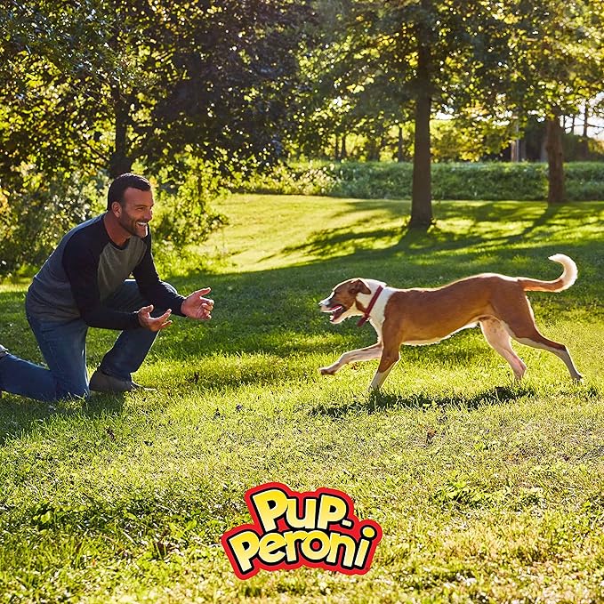 Pup-Peroni Original Filet Mignon & Bacon Flavor Dog Snacks, 22.5 Ounce Bag (Pack of 4)