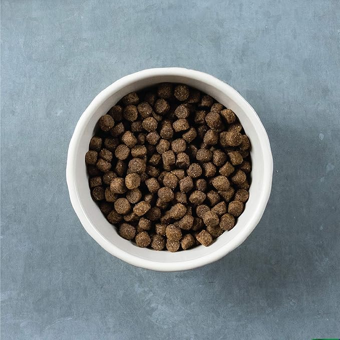 Evolve Grain Free Deboned Turkey & Sweet Potato Recipe Dog Food, 4 lb.
