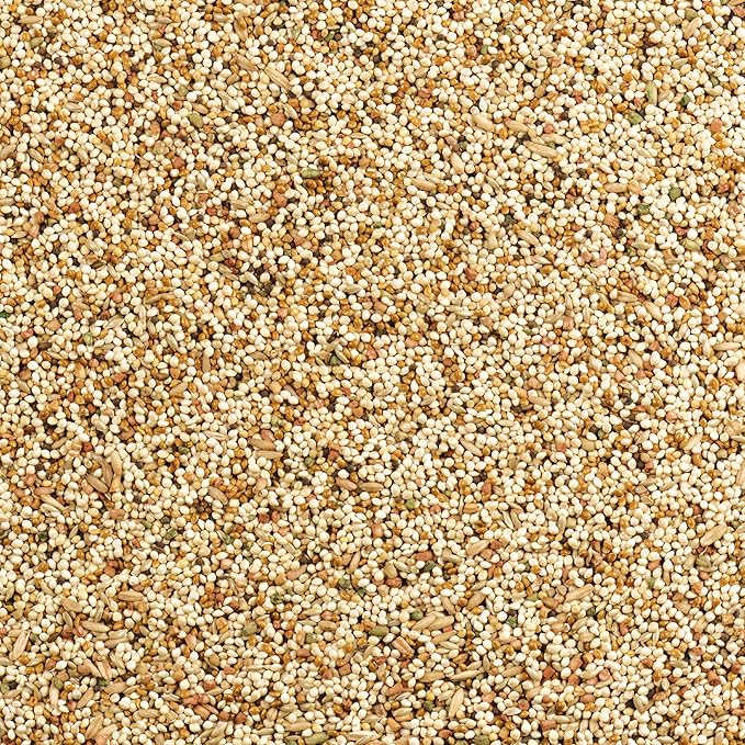 Wild Harvest Daily Blend Nutrition Diet for Parakeet, Canary and Finch 10 Pounds, Orange flavour