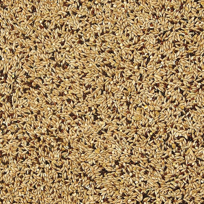 Kaytee Supreme Canary & Finch Food 2lb
