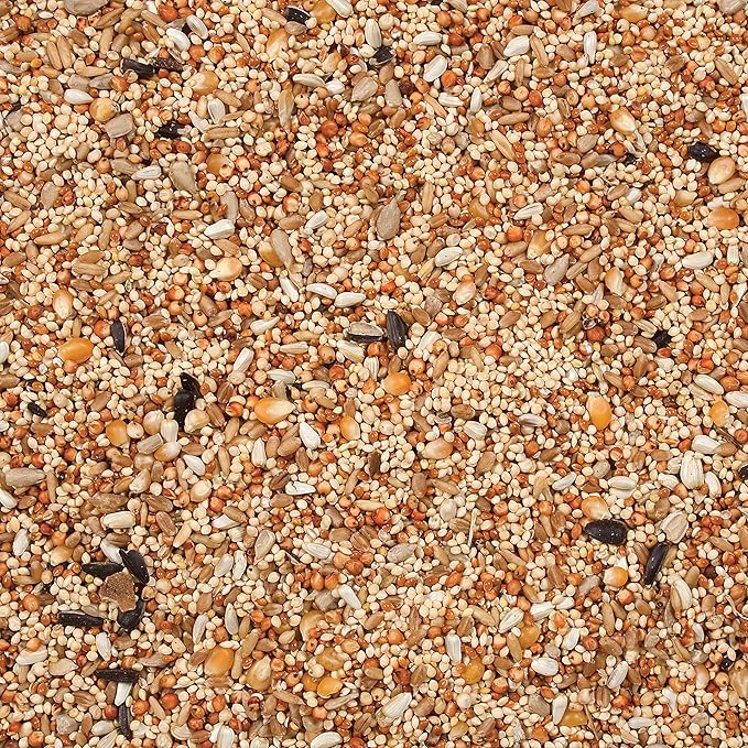 Wild Delight Dove & Quail Food, 10 lb (Pack of 2)