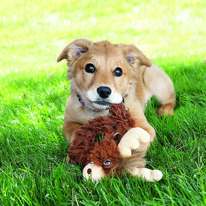KONG Trekkers Goat Dog Toy, Small/Medium