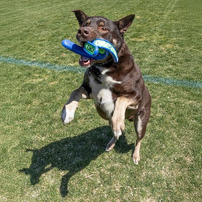 KONG Whirlz Dog Fetch Toy – Durable Squeak-Free Rope & Throw Combo, Unpredictable Bounce, Floats in Water, All-Season Outdoor Play (Rope/Throw Bundle)